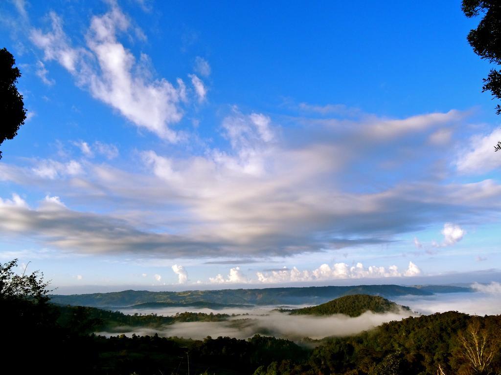 Maleny Luxury Cottages Room photo